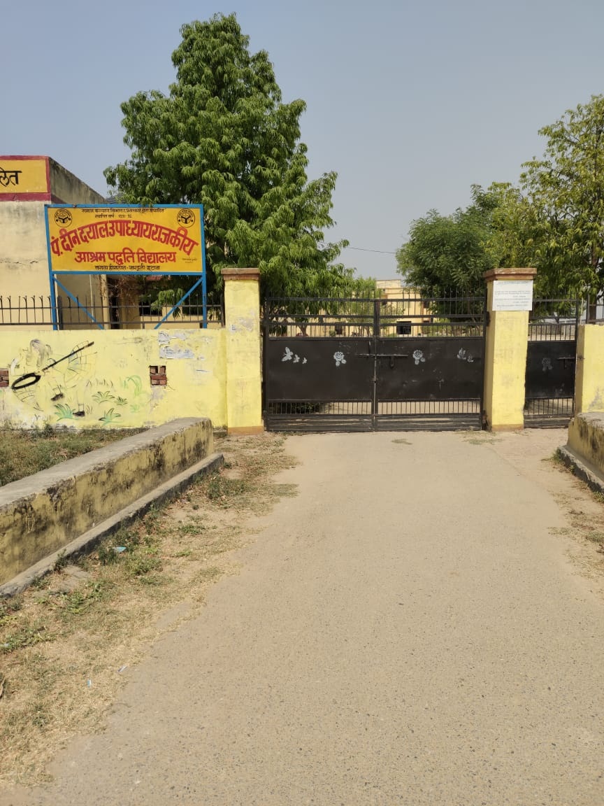 Image-1