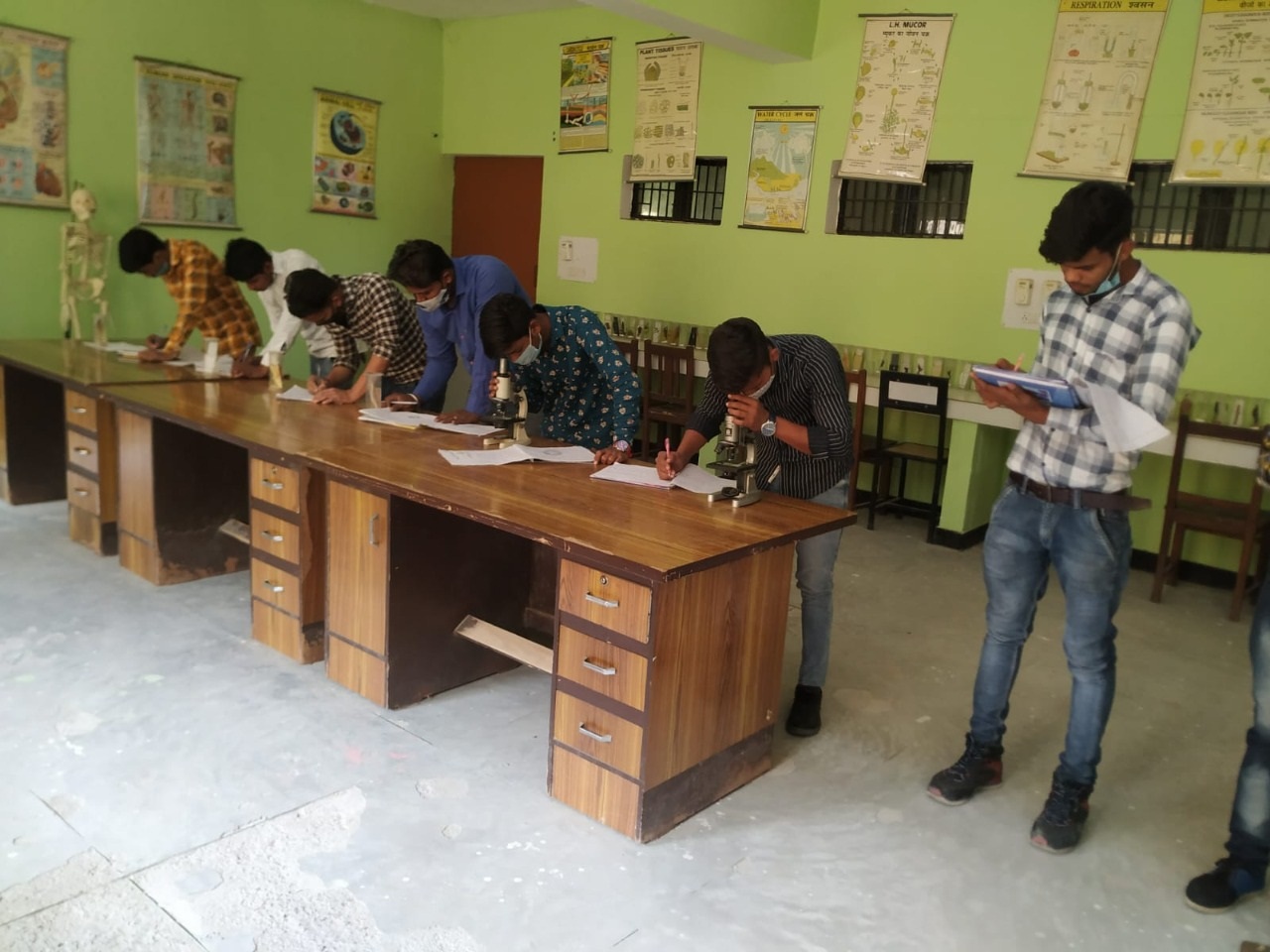 Image-5