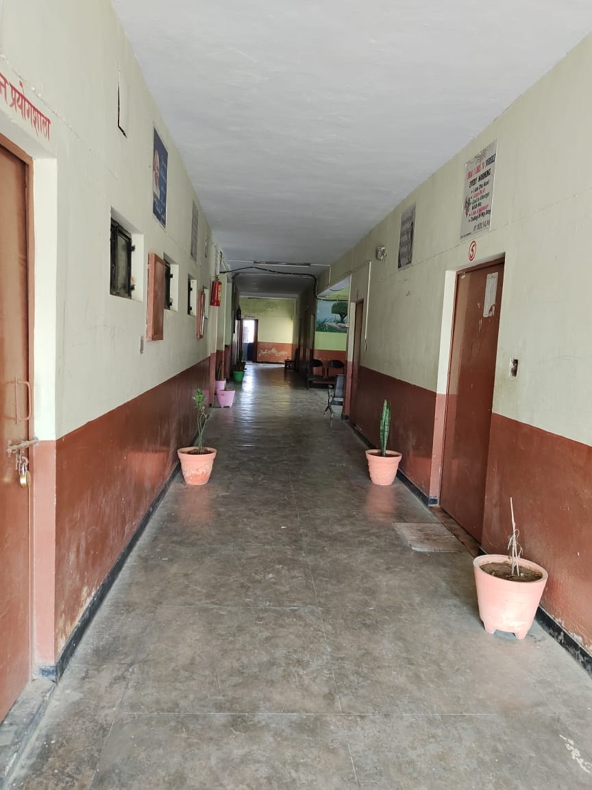 Image-6